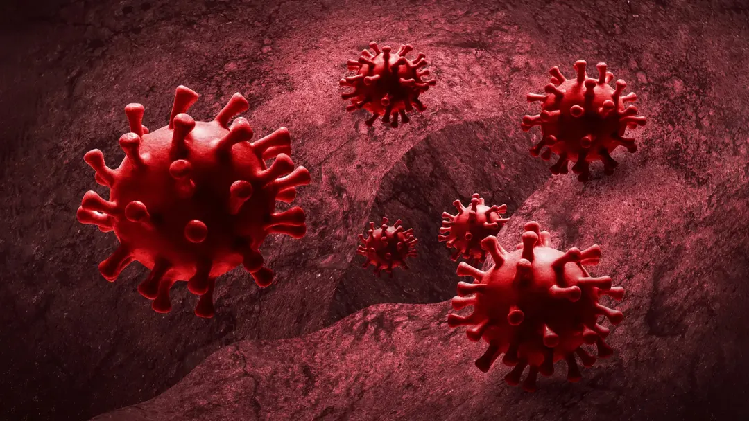 JAK inhibitors may help viruses spread through the body