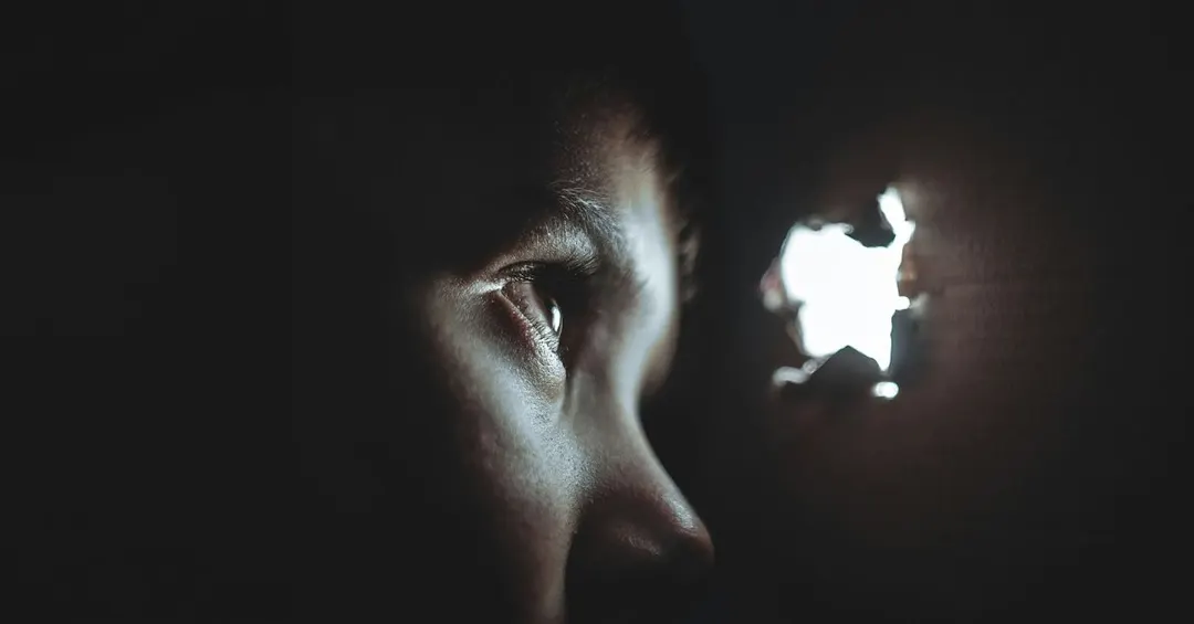 Senators say US government is illegally surveilling its own citizens