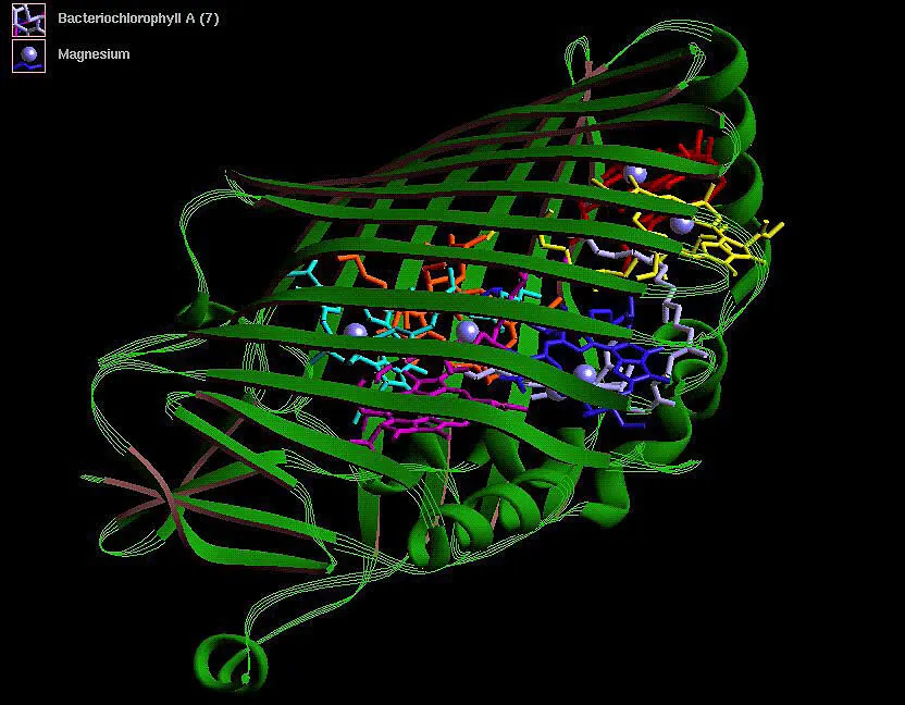 Pinal designs proteins from plain-language prompts