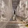 SPINE: machine-learning program hunts for ghostly neutrinos