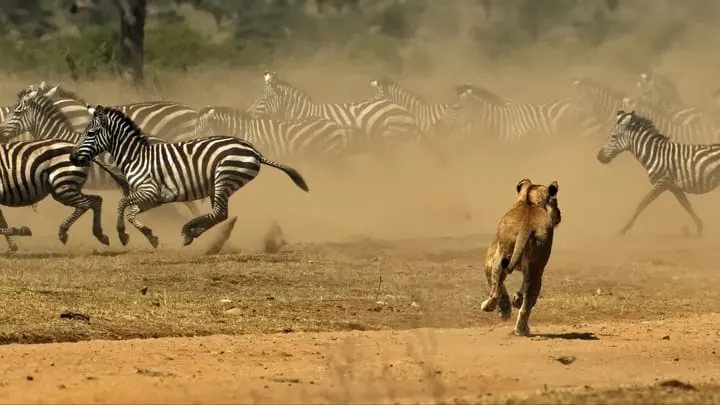 Interpol's Serengeti Sweep Nets 1,462 Arrests, $105M Recovered