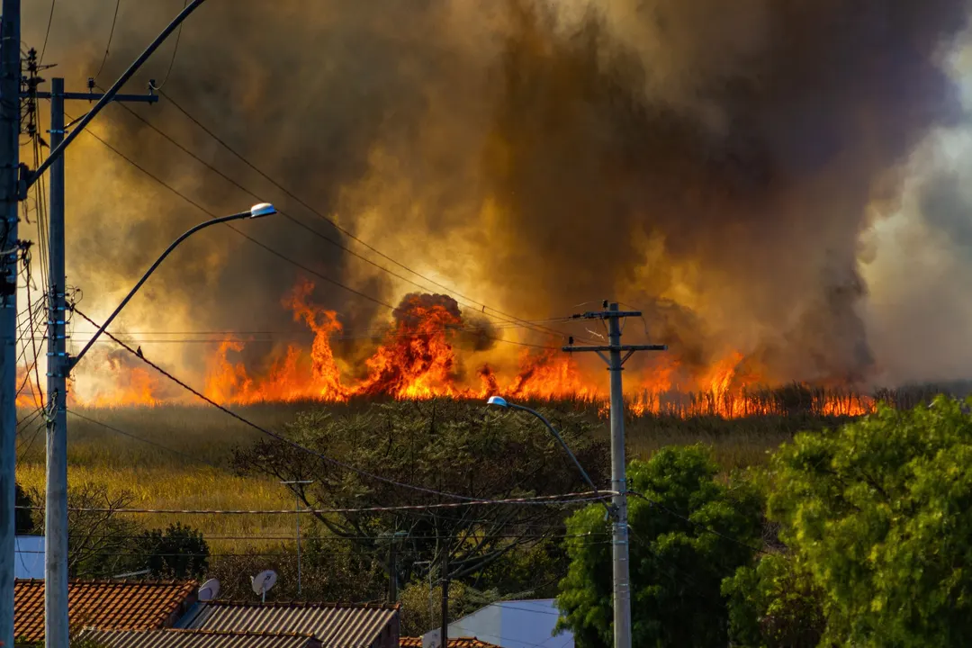 WMO: Wildfires Shifted Global Methane Chemistry for First Time