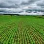 Spain tests field urea production system powered by biobatteries and solar