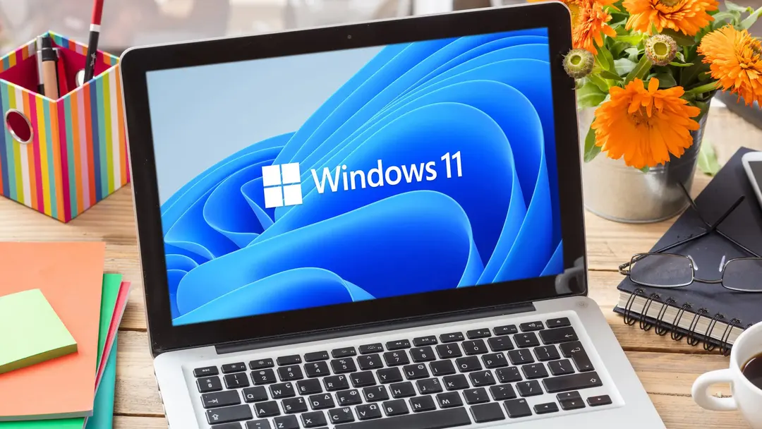 Windows 11 lets users turn off web results in search