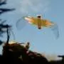 Insect-inspired flying robot survives collisions and keeps flying