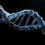 Japan enacts law regulating human genome-edited embryos
