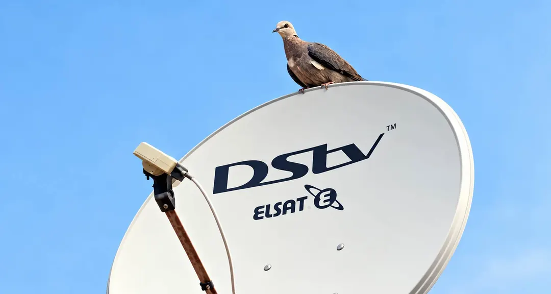 Canal+ cuts DStv prices by up to 42% across Africa
