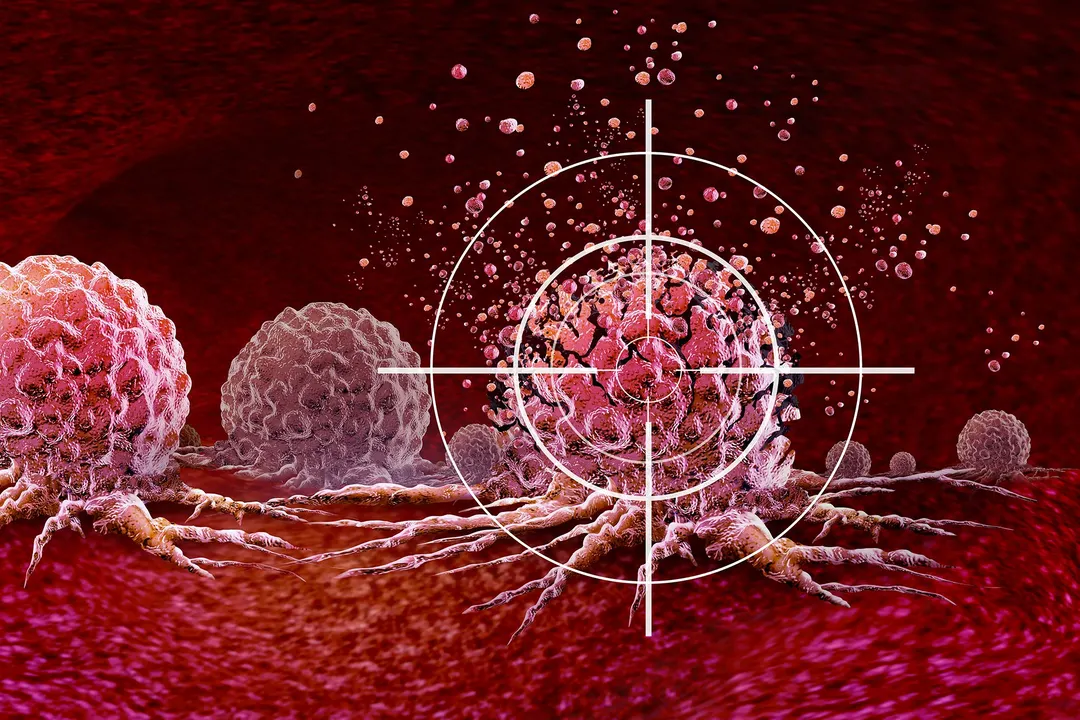 Scientists find early Wee1 role that explains inhibitor side effects