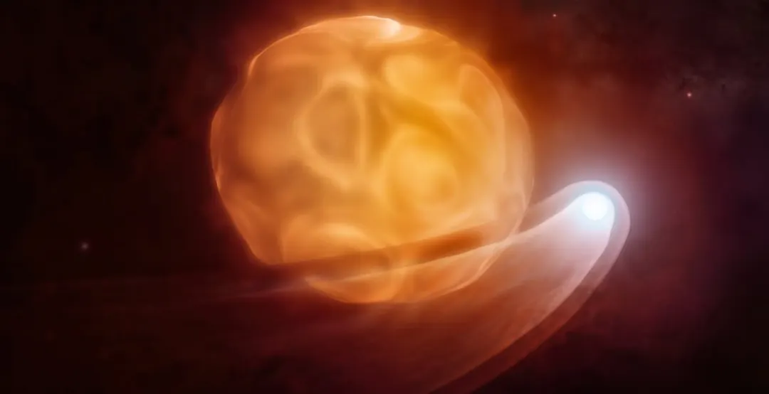 VLA and ALMA observations point to companion disturbing Betelgeuse's atmosphere