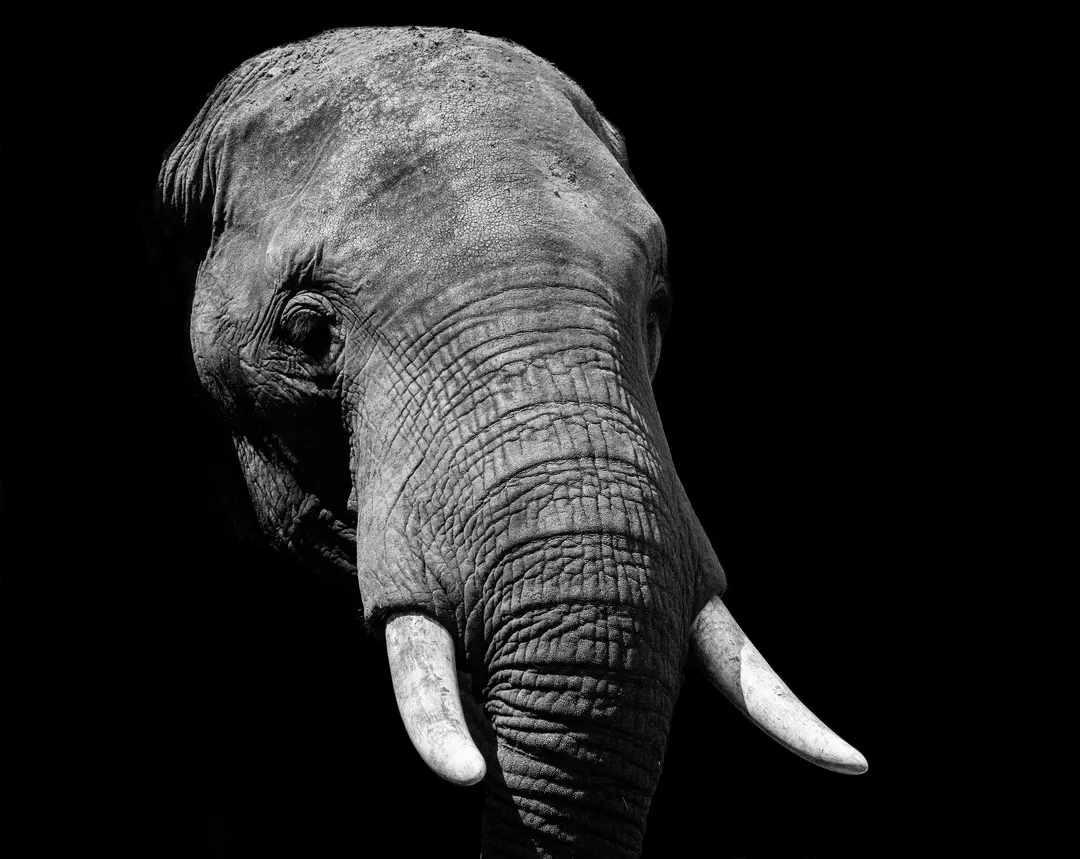 PHP2Shell will linger in enterprise environments for years