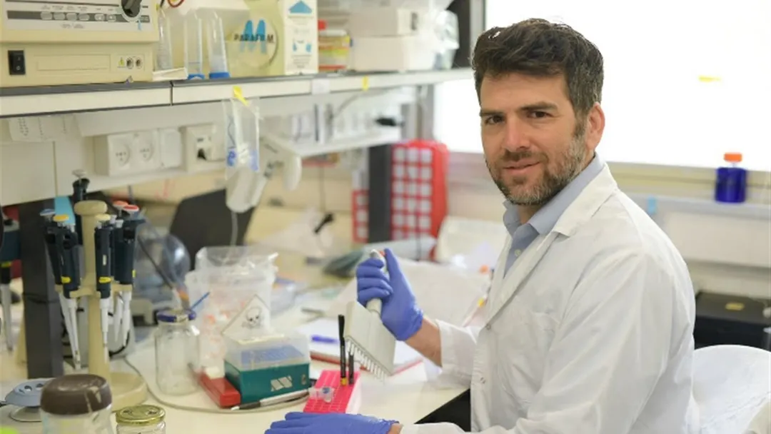 BBERT AI recognizes bacterial DNA in short soil fragments