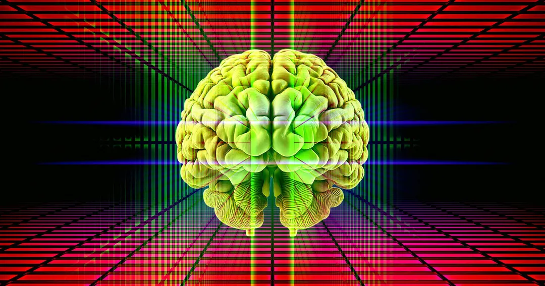 Brain switches between conscious and suppressed perception about 15 times per second, study finds